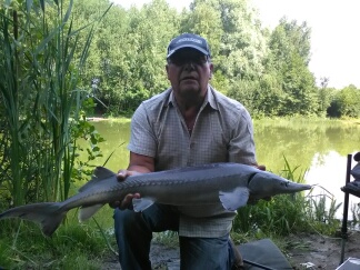 Esturgeon Etang pêche grosses carpes