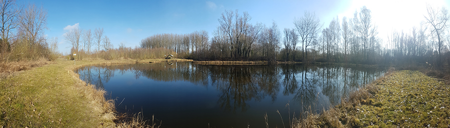 Carpodrome Annequin
