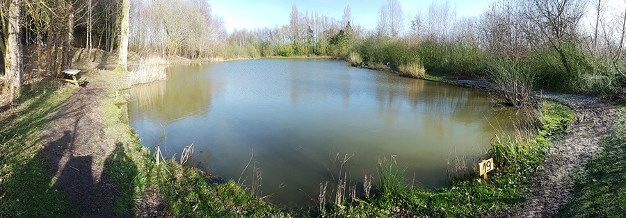 Etang-grosses-carpes-esturgeons